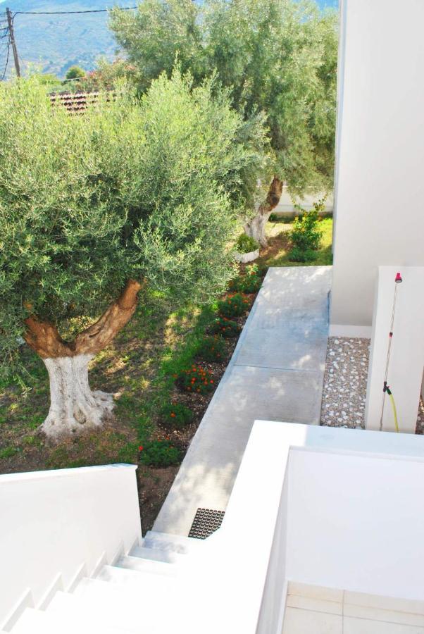 Q Luxury Rooms Paleros Esterno foto
